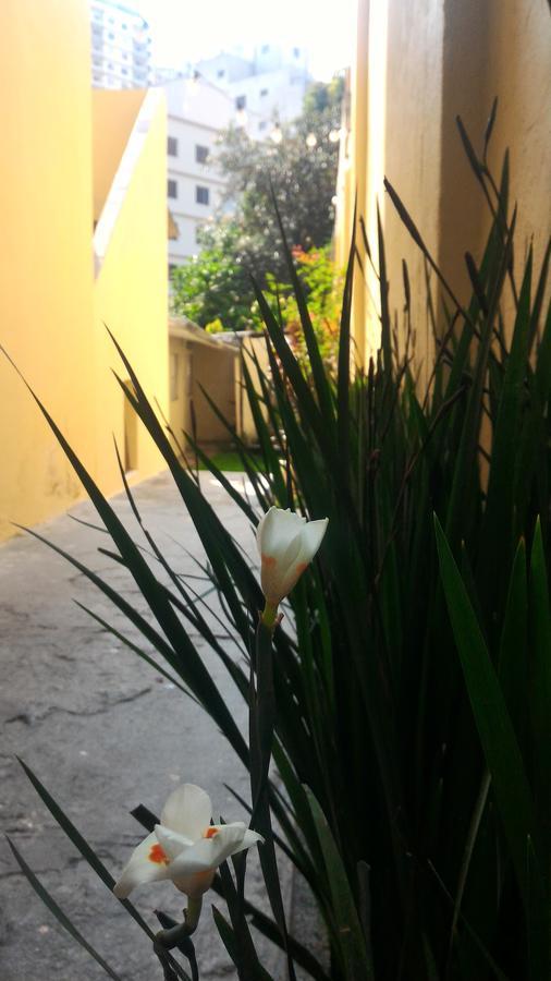 Olah Hostel - Vila Mariana São Paulo Eksteriør billede