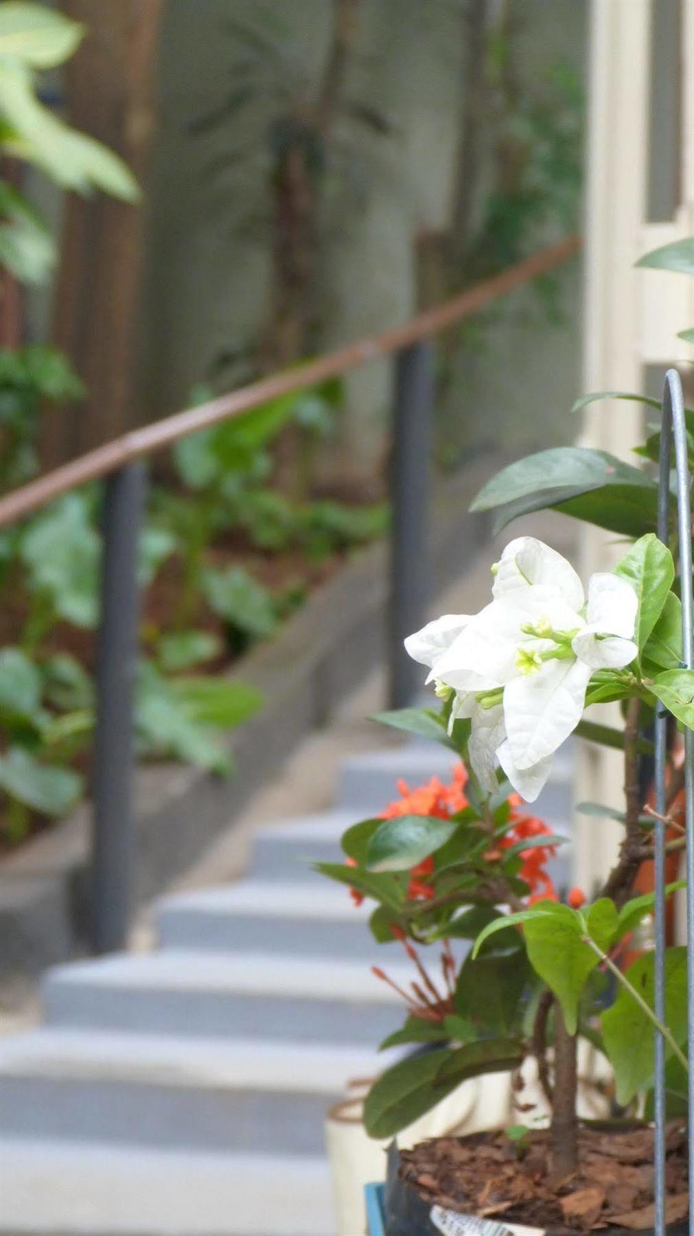 Olah Hostel - Vila Mariana São Paulo Eksteriør billede